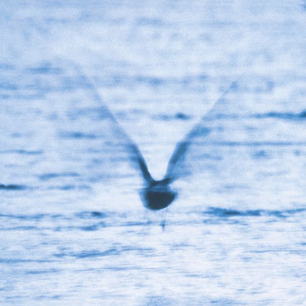 Ryo Fukui - Mellow Dream - 8561