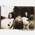 PJ Harvey - Is this Desire? - 9086