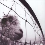 Pearl Jam - Vs. - 10167