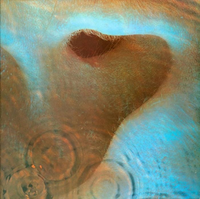 Pink Floyd - Meddle - 10629